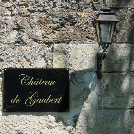 Chateau De Gaubert Bed & Breakfast Terrasson Bagian luar foto
