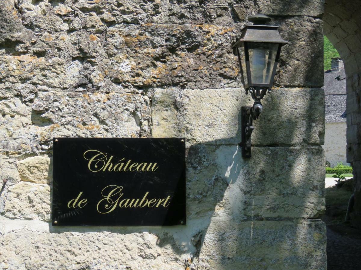 Chateau De Gaubert Bed & Breakfast Terrasson Bagian luar foto